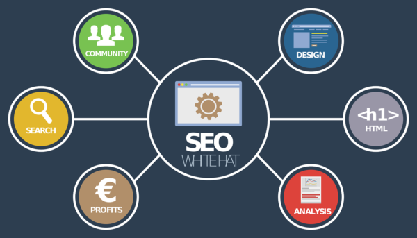 Blog SEO